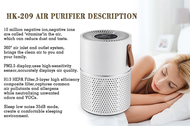 Ion Air Purifiers with Ozone H13 Carbon Filter Air Purifier Home Office Use Air Cleaner